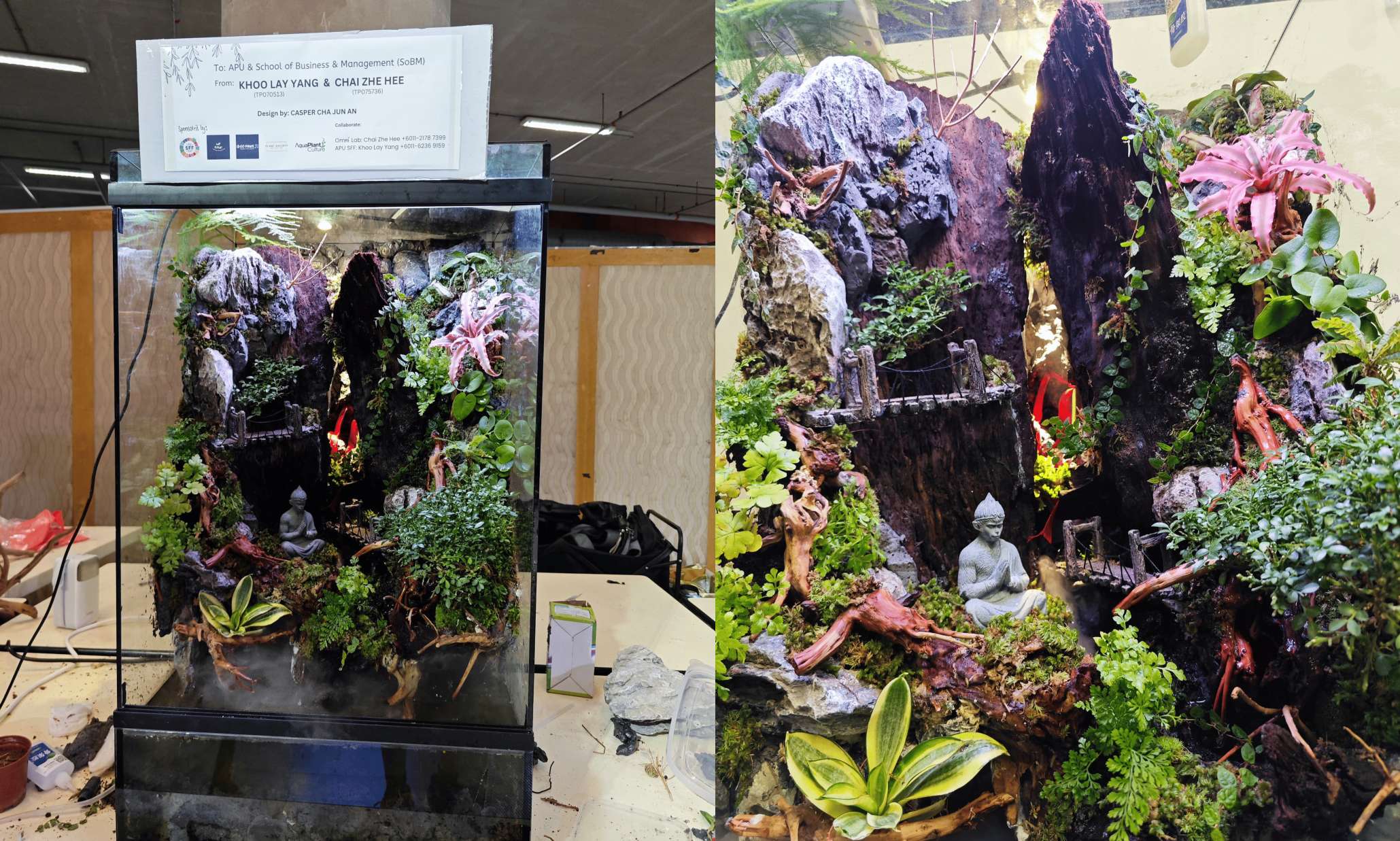Large Paludarium - WuKong given to APU School of Business & Management