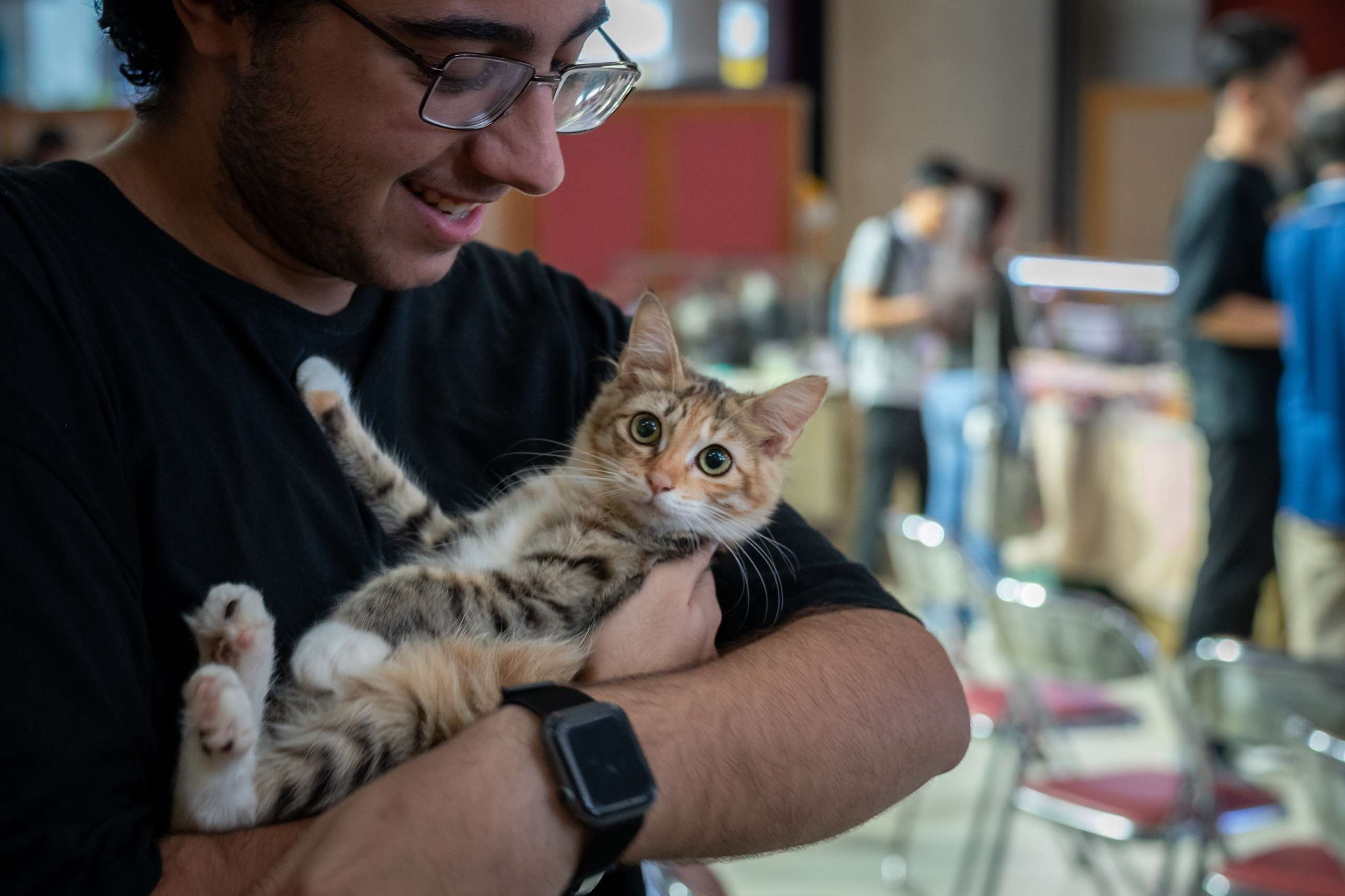 Pet Interaction Zones - APU Student Play with the Cute Cats