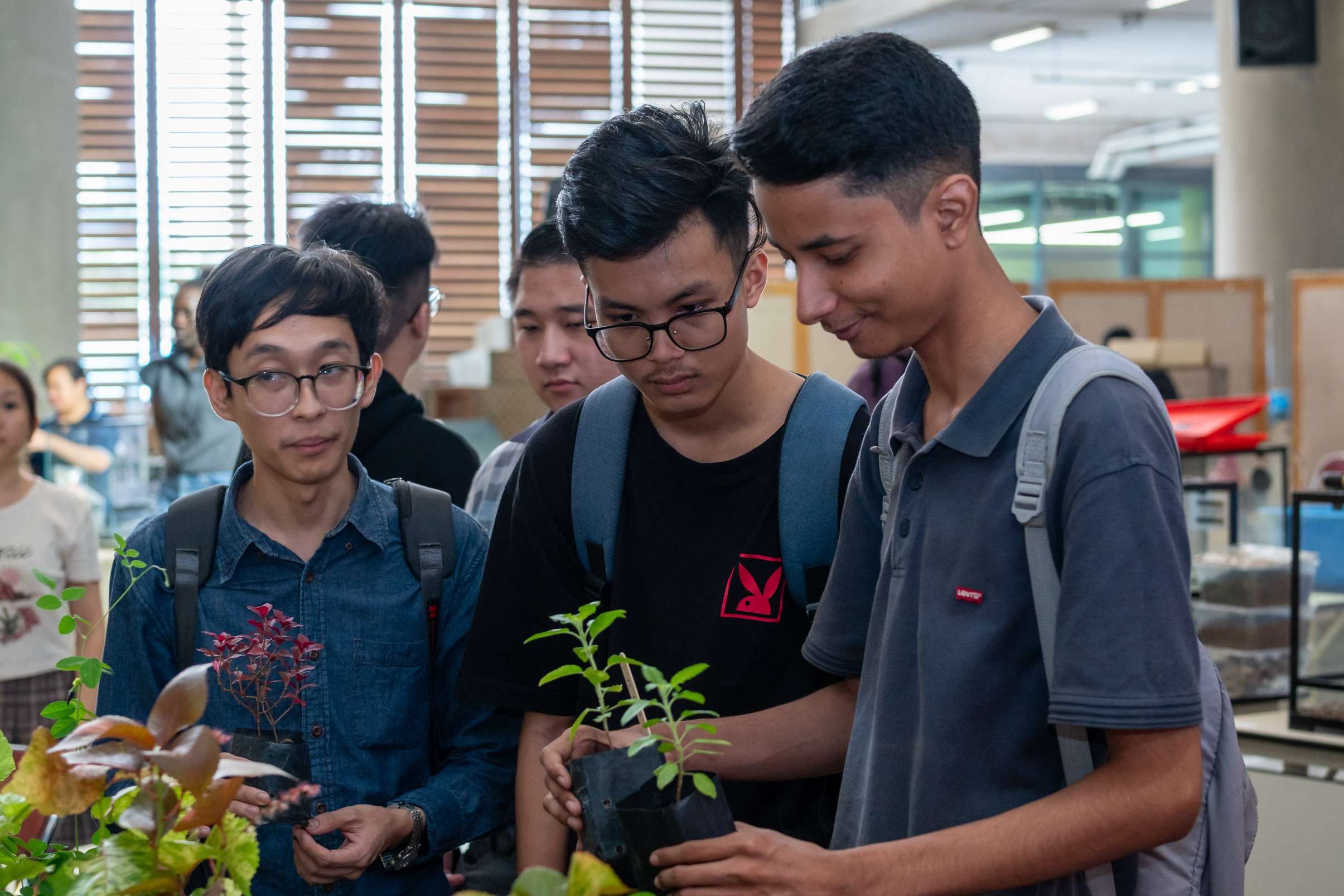 Free Plant Giveaway by Free Tree Society to APU Students