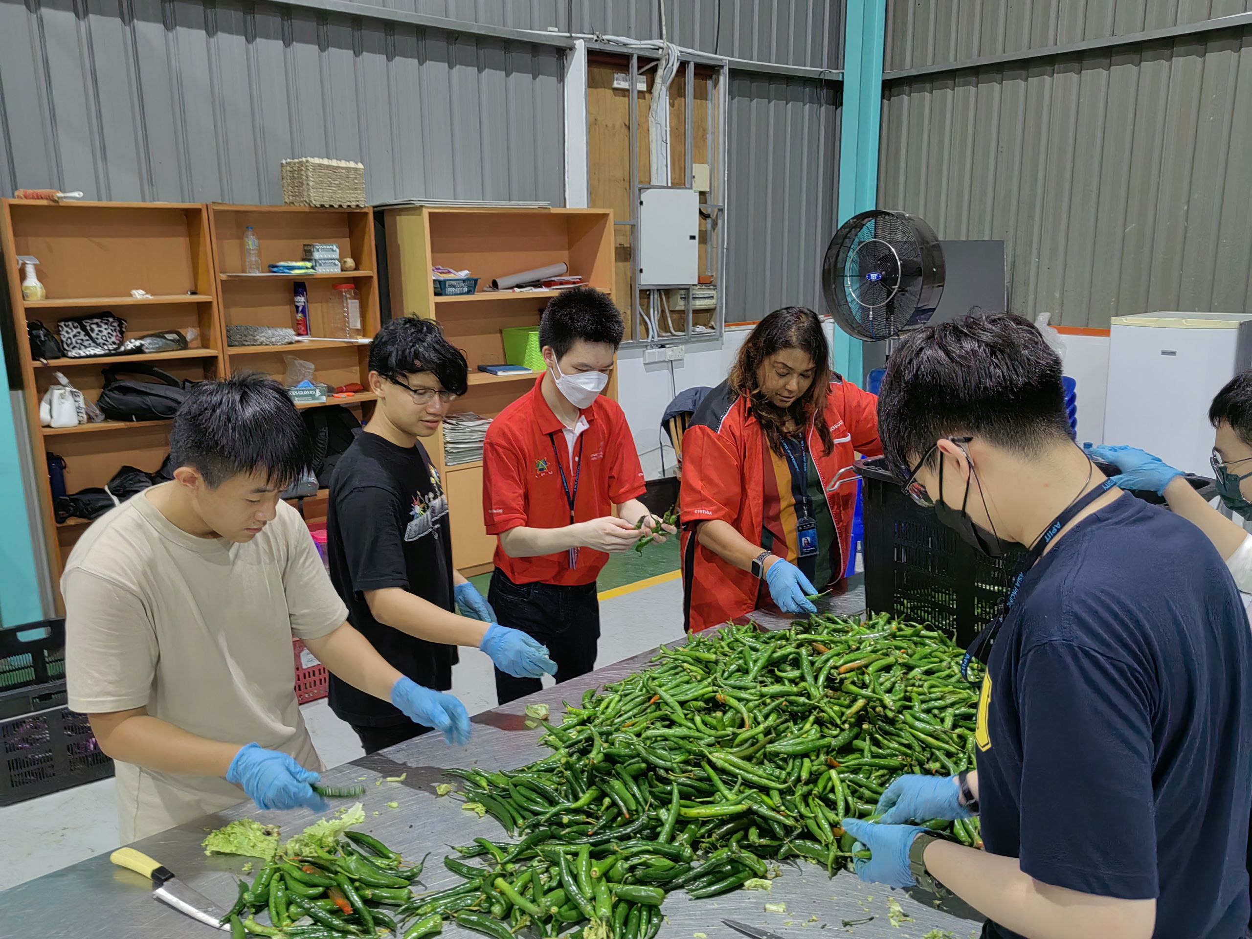 The Lost Food Project - Workshop 1 - 686b642311fe8_1751868451