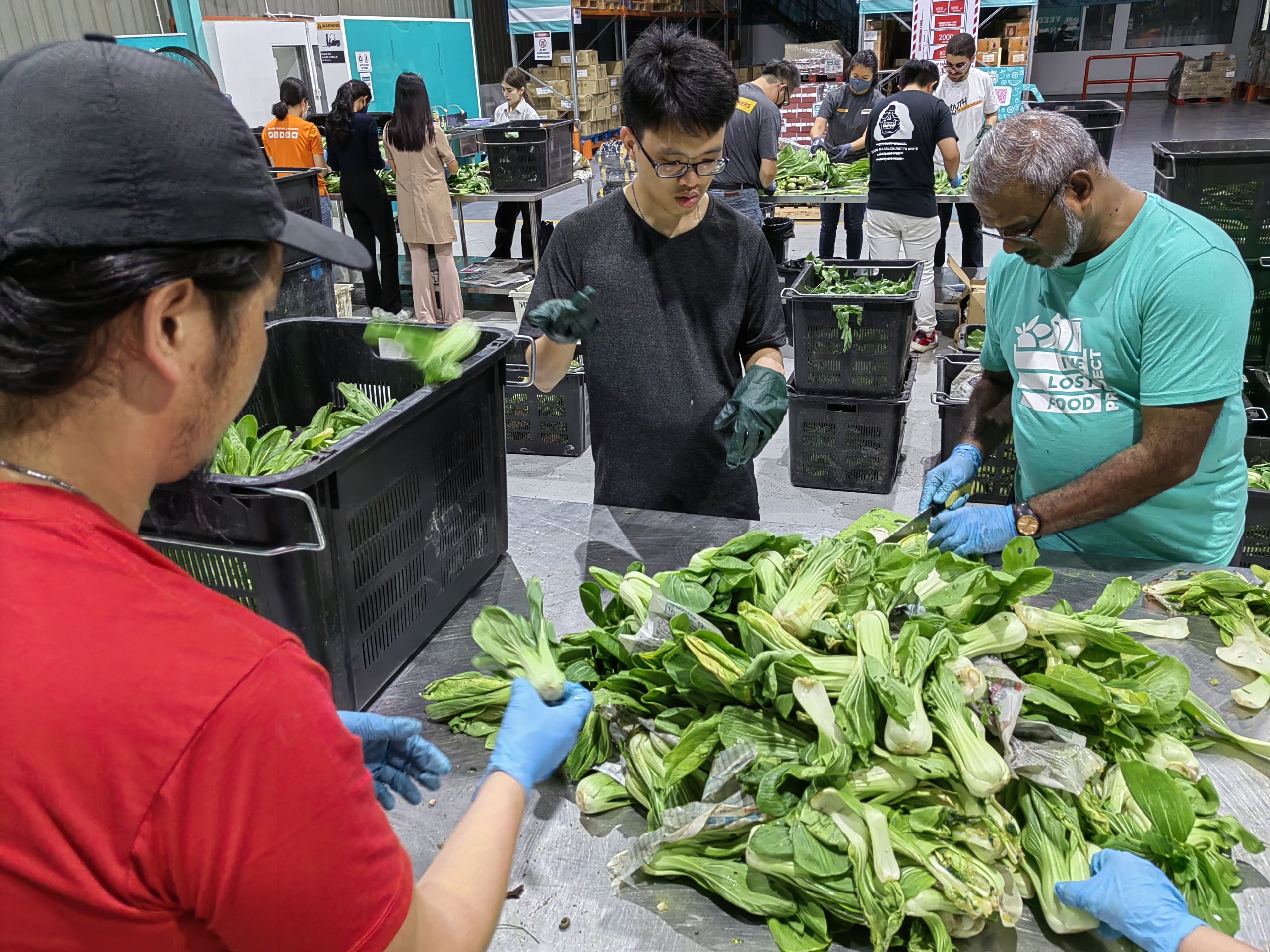 The Lost Food Project - Workshop 2 - 686b67616abed_1751869281